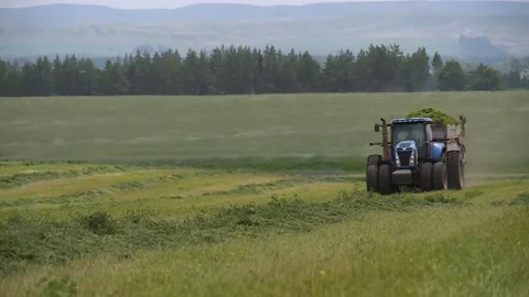 Tractor big wheels with a trailer cut grass rides on the field Stock Footage 133804146