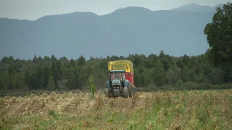 Tractor bringing wagon for maize pickup from harvester. Stock Footage 22931904