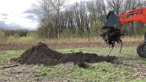 The tractor bucket takes out the root of the tree. Stock Footage 197373852