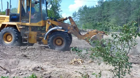 Tractor (bulldozer) clears the area of forest Stock Footage 33637252