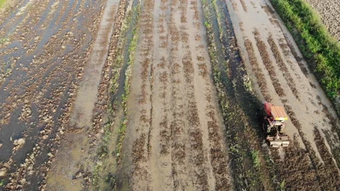 Tractor car working on rice field soil with water prepare to rice plantation Video stock 153286337