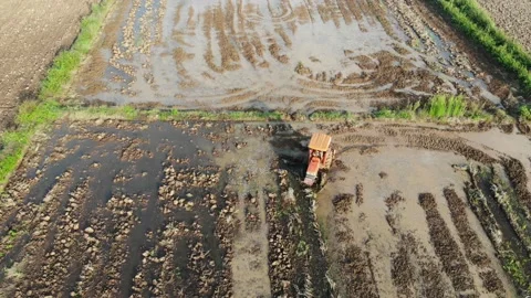 Tractor car working on rice field soil with water prepare to rice Stock Footage 153287299