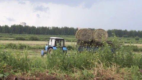 The tractor carries a haystack. Summer harvesting Stock Footage 78122881