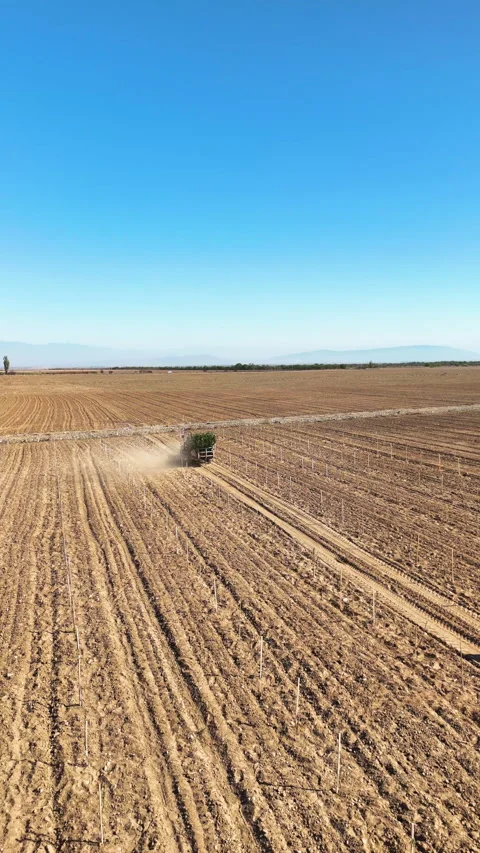 A tractor carries young saplings to a field Stock Footage 335874865