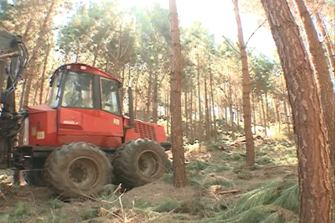 Tractor carrying freight timber 库存影片 37633604
