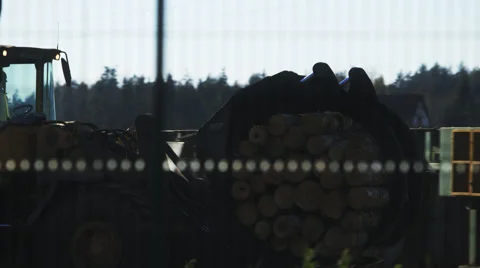 Tractor Carrying Wood Stock Footage 49643460