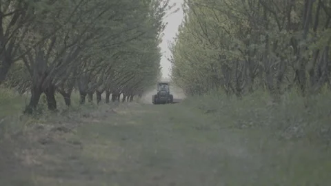 Tractor centered coming down the field Stockbeeldmateriaal 251841438