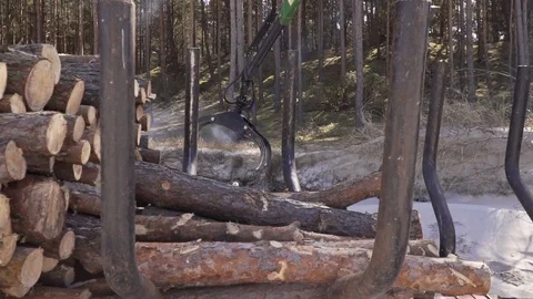 A tractor claw loading logs onto the trailer Stock Footage 106972892