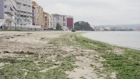 Tractor cleaning beach with algae and garbage at morning Video stock 138043983
