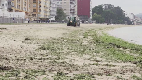 Tractor cleaning beach with algae and garbage at morning Video stock 138047320