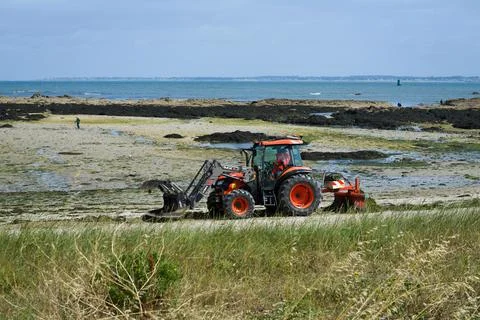 Tractor cleaning a beach Stock Photos