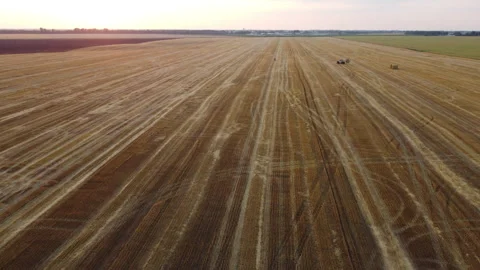 Tractor cleaning gathering stacks of straw harvesting wheat on summer evening. Stock Footage 329586780