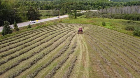 Tractor clearing the field Stock Footage 159723556