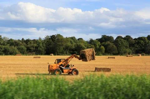 Tractor collecting haystack from the field Fotos de archivo