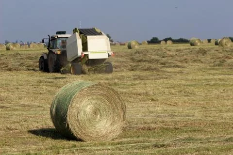 Tractor collecting haystack 스톡 사진
