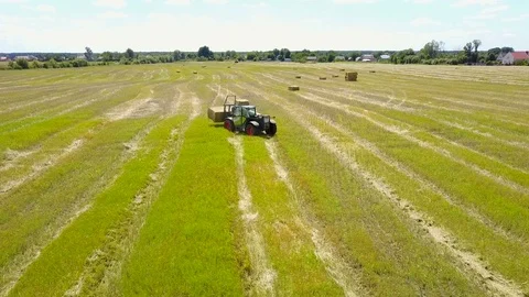 Tractor Collects Hay On The Field Stock Footage