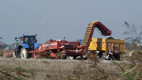 Tractor combination is harvesting Stock Footage 103202823
