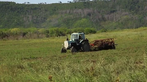 Tractor with a combine digs potatoes on the field Stock Footage 106664954