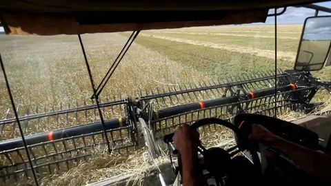 Tractor combine harvest. View from the cab of the combine. Fieldwork Stockbeeldmateriaal 75545772