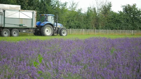 Tractor &amp; Combine Harvester 스톡 동영상 40614547