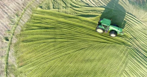 Tractor compacted cut stalks maize for silage Stock Footage 158322877