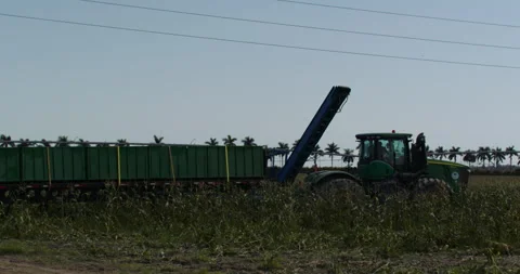 Tractor In Corn Field Stock Footage 250053473