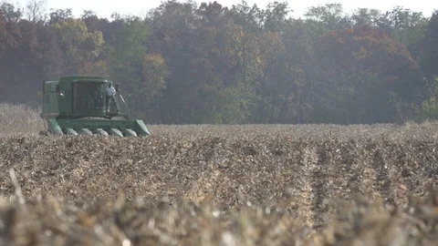 Tractor in Corn Field Wide Shot  Stock Footage 92677151