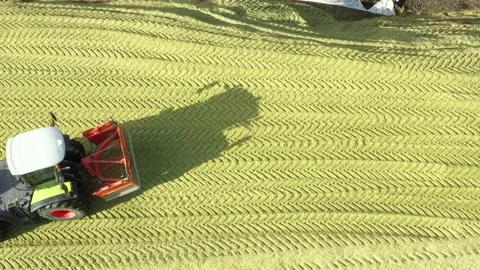 Tractor on a corn silage during the corn harvest Stock Footage 163437808