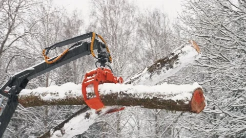 Tractor with crane loads logs into trailer in winter forest Stock Footage 169548832