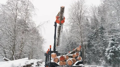 Tractor with crane loads logs into trailer in winter forest Stock Footage 169548904