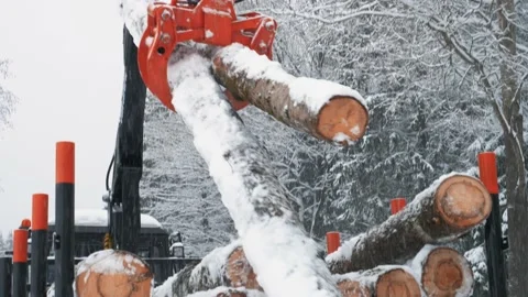 A tractor with a crane loads logs into a trailer in a winter forest. Close-up Stock Footage 169548945