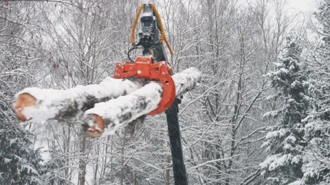 A tractor with a crane loads two logs at once into a trailer in a winter forest Stock Footage 169548973