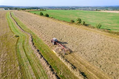 Tractor creates rolls of dry grass, for the subsequent collecting of hay in b Stock Photos