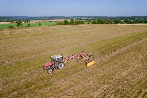 The tractor creates rolls of dry grass, for the subsequent collecting of hay  Stock Photos