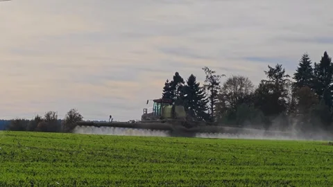 A tractor cultivates the fields. The tractor sprays green shoots in the field. Stock Footage 323745850