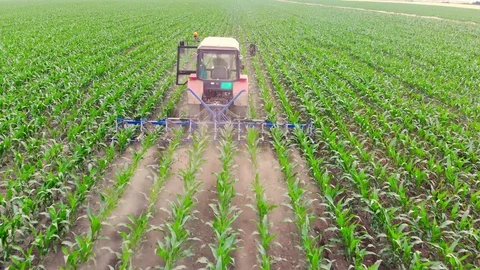 Tractor cultivating corn field Stock Footage 90389792
