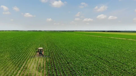 Tractor cultivating corn field Video stock 90391525