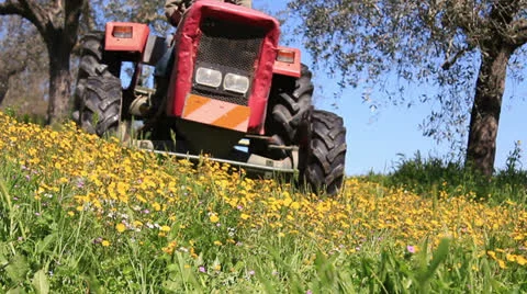 A tractor cuts the grass Stock Footage 22593121