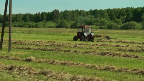 Tractor cuts grass in large farm field during sunny day in rural area Stockbeeldmateriaal 337965538