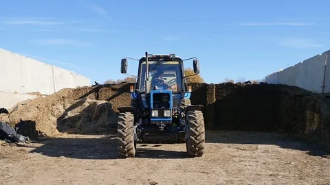 Tractor cuts hay on a farm Stock Footage 103176037