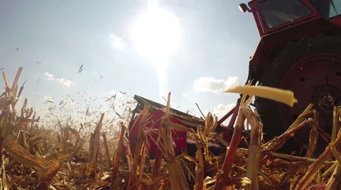 Tractor Cutting Corn Stubble After Harvest Stock Footage 68147875