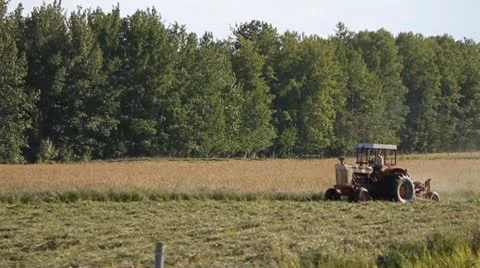 Tractor cutting field Stock Footage 10755906