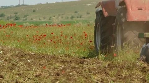 Tractor Cutting Field With Weeds 스톡 동영상 65097096