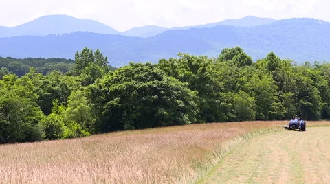 Tractor cutting grass Stock Footage 52298190