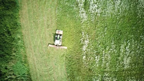 Tractor cutting grass top down aerial view Stock Footage 138156745