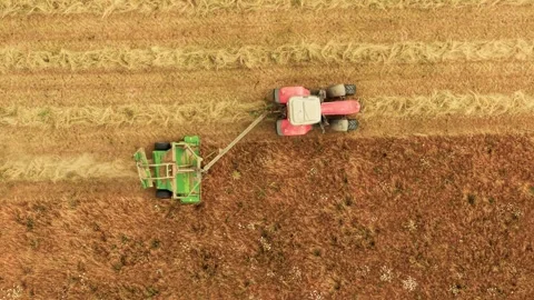 Tractor cutting hay along field edge with agricultural mower. Rural farmland Video stock 341333681