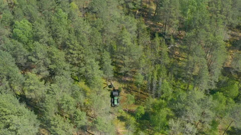 Tractor cutting trees in forest. Deforestation. Forest wheeled harvester is Stock Footage 135002651