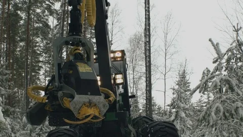 The tractor cutting trees working in a forest Stock Footage 69966231
