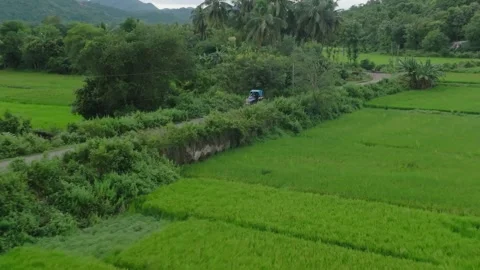Tractor on Dirt Road Through Rice Paddies in Andhra Pradesh, India Stock Footage 334138666