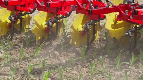 A tractor is in the dirt with a yellow and red color Stock Footage 296100161